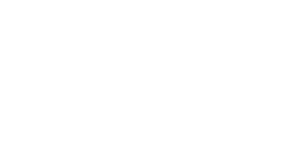 Disability Rights Fund logo